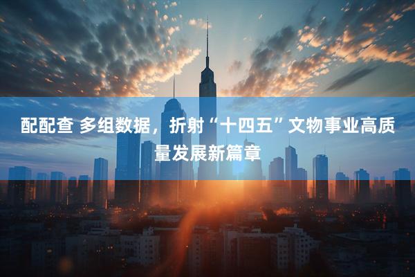 配配查 多组数据，折射“十四五”文物事业高质量发展新篇章