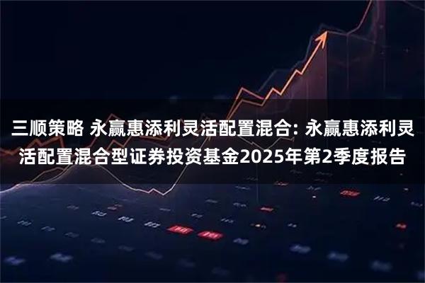 三顺策略 永赢惠添利灵活配置混合: 永赢惠添利灵活配置混合型证券投资基金2025年第2季度报告